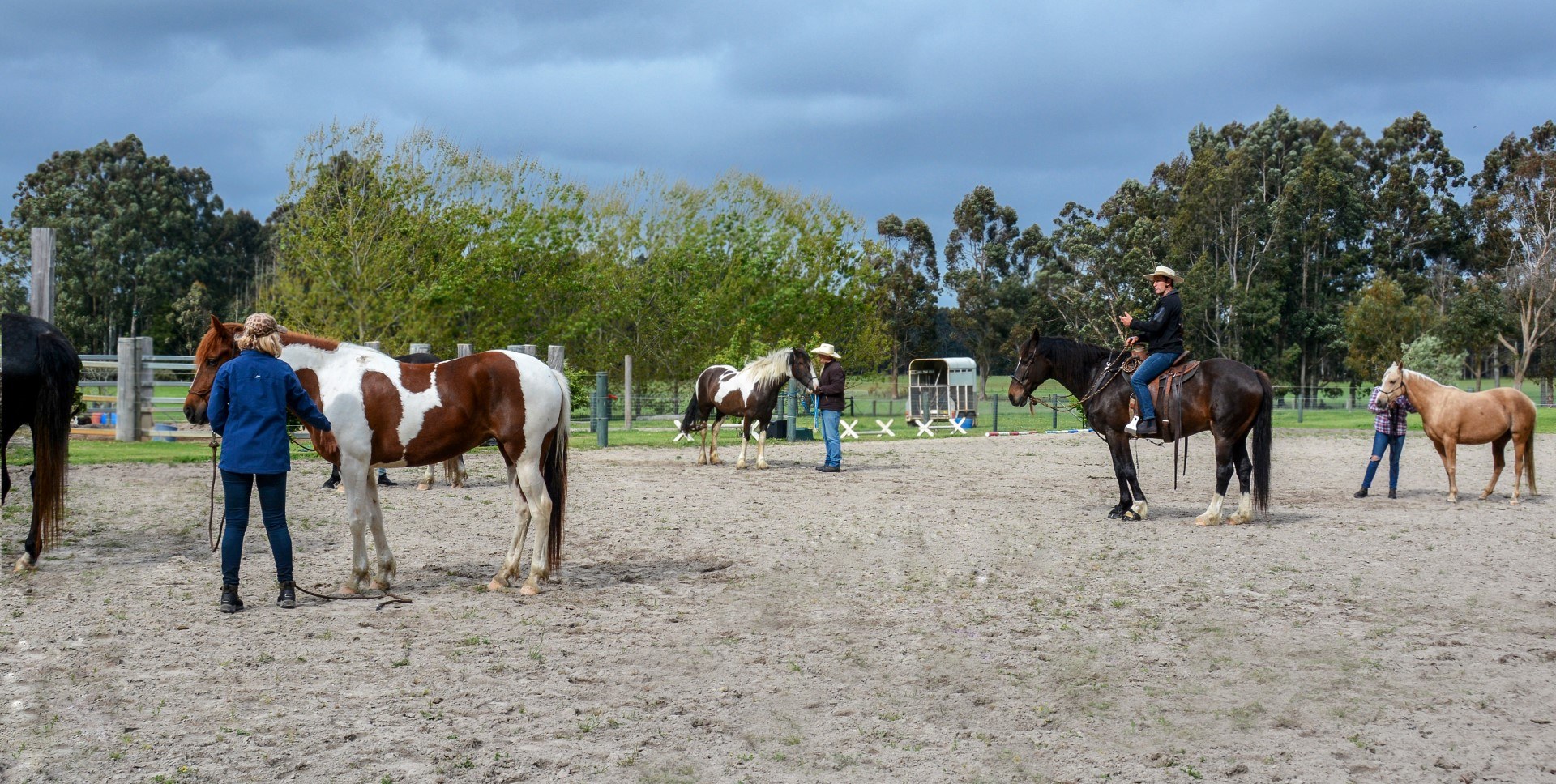 Horsemanship Courses 